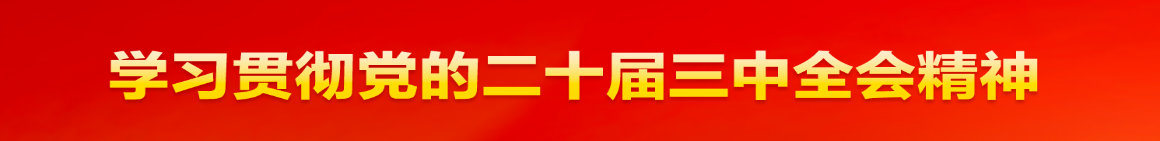 学习贯彻党的二十届三中全会精神